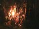stangpix/_strwdbonfire_23.jpg