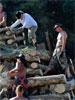 Woodbusters, by Amy