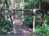 Faerie Shrine Entrance, by Keith