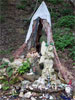 Faerie Shrine, by Keith